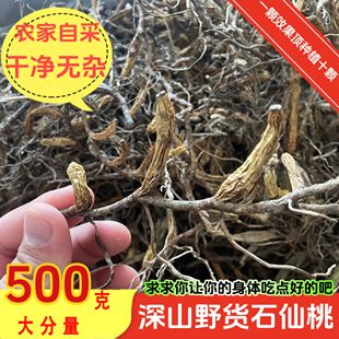 石仙桃深山中药材石橄榄新鲜干货石三棱果上叶石枣子岩珠无硫新货