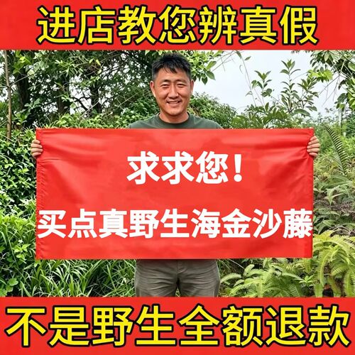 纯野生海金沙藤正品无硫新货泡茶