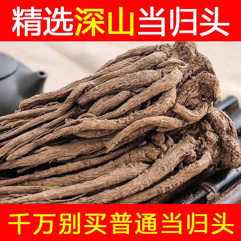 深山纯野生老当归500g中药材正品全身甜当归尾粉头纯整个发批干货