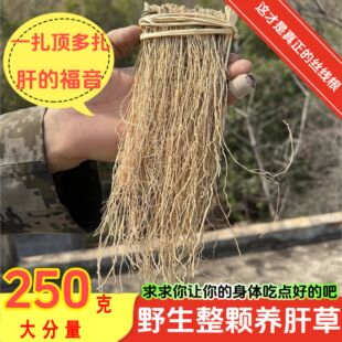 养肝草野生龙须草丝线根正品新货护肝草开胃金草干货汤包料养生茶