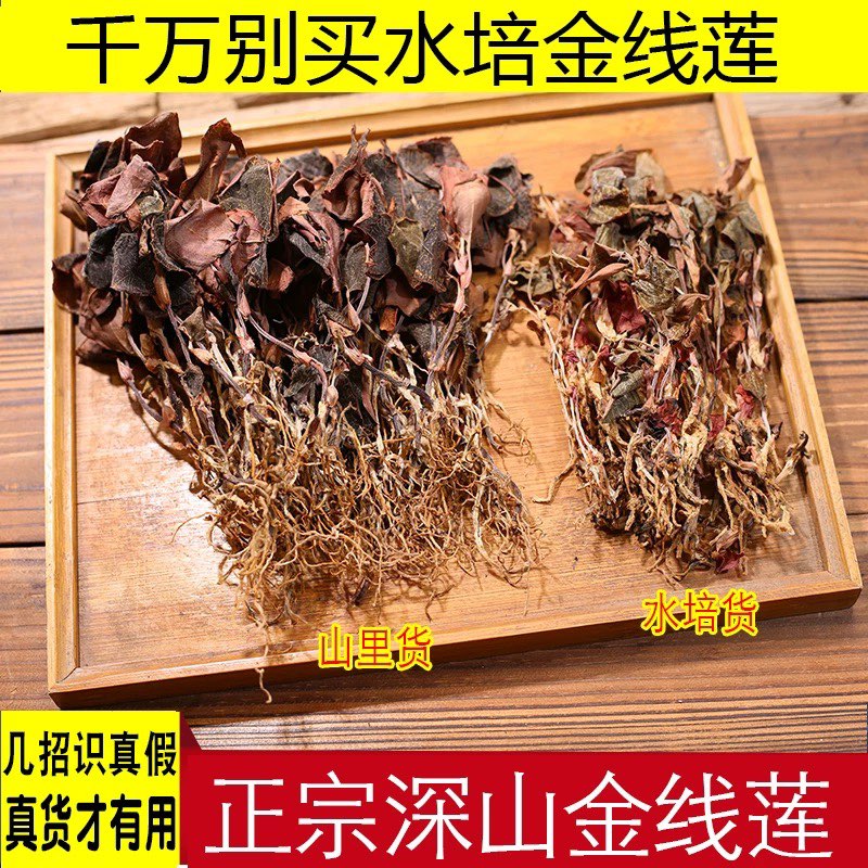 云南金线莲干品正宗南靖林地100g整株干货非野生金线莲煲汤解酒茶