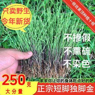 野生独脚金疳积草独脚金消积汤儿童双金汤野生独角金独脚金中药材