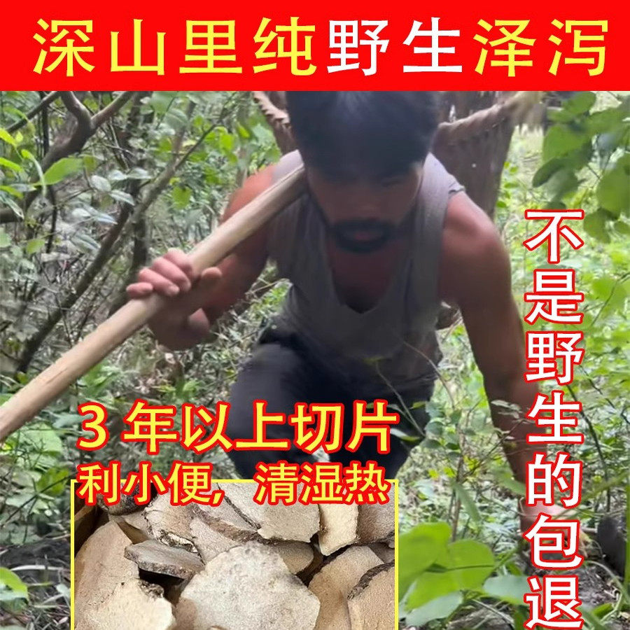 爷爷挖的深山纯野生泽泻500g中药材正品白术芍汤车前子片饮泽泻粉