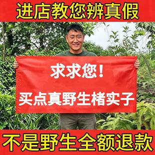 纯野生楮实子中药材500g正品楮实籽楮实米新货干净无硫泡茶泡水喝