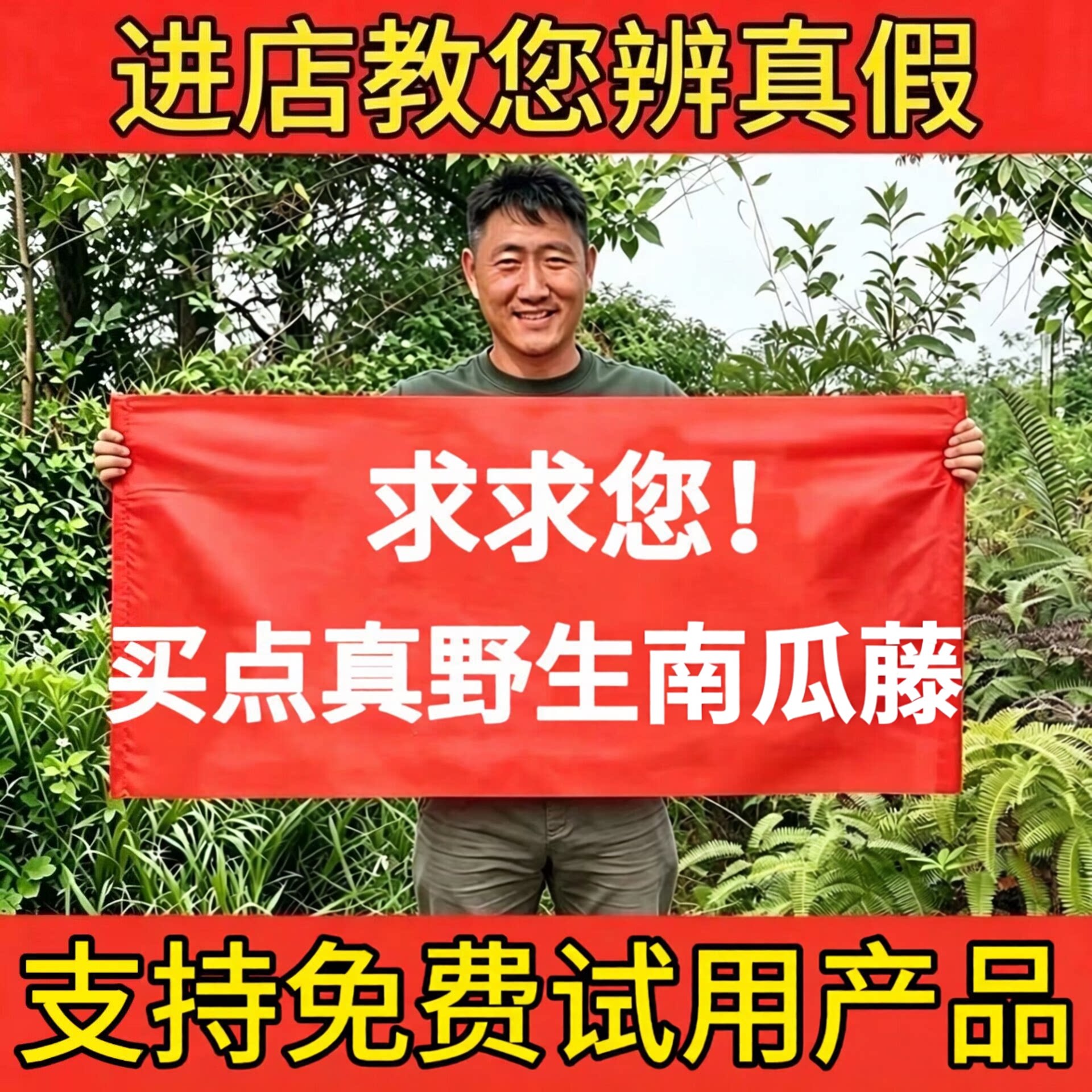 正品野生南瓜藤中药材正宗湖南特产新鲜干货霜后南瓜蔓秧新货泡水
