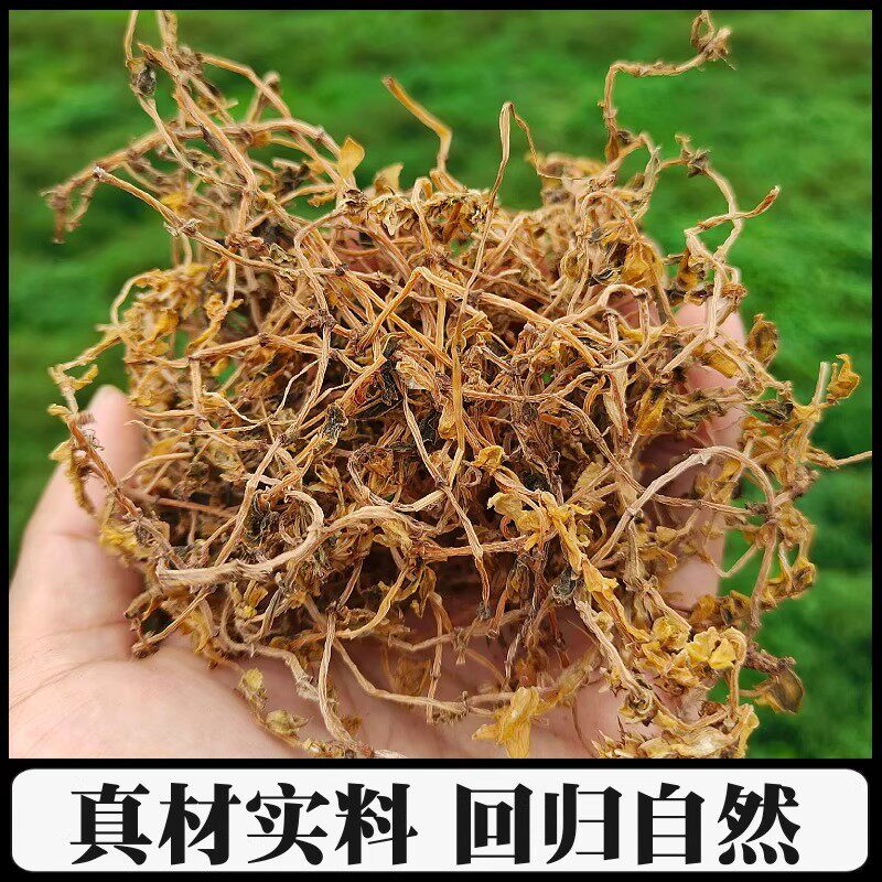 垂盆草中药材新鲜干货500g新货泡水野生垂盆草的功效锤盆草狗牙草