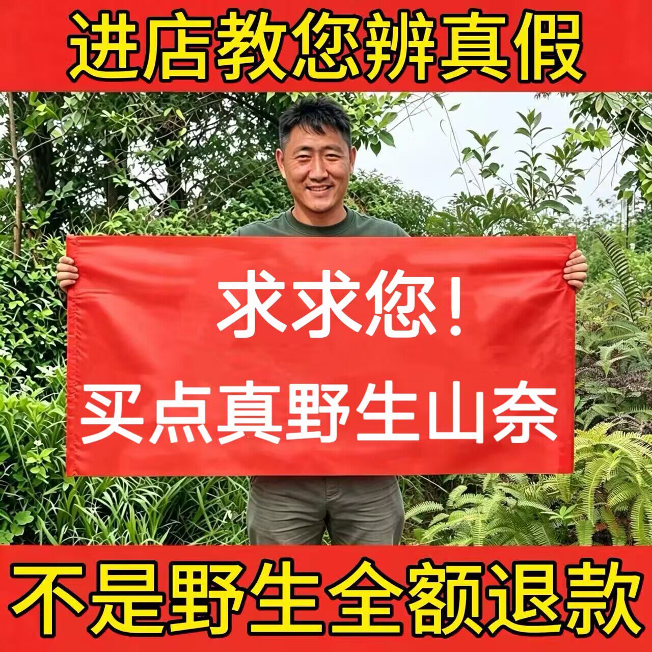 深山野生山奈500g中药材正品自然晒干牛羊肉去腥除味沙姜香料调料