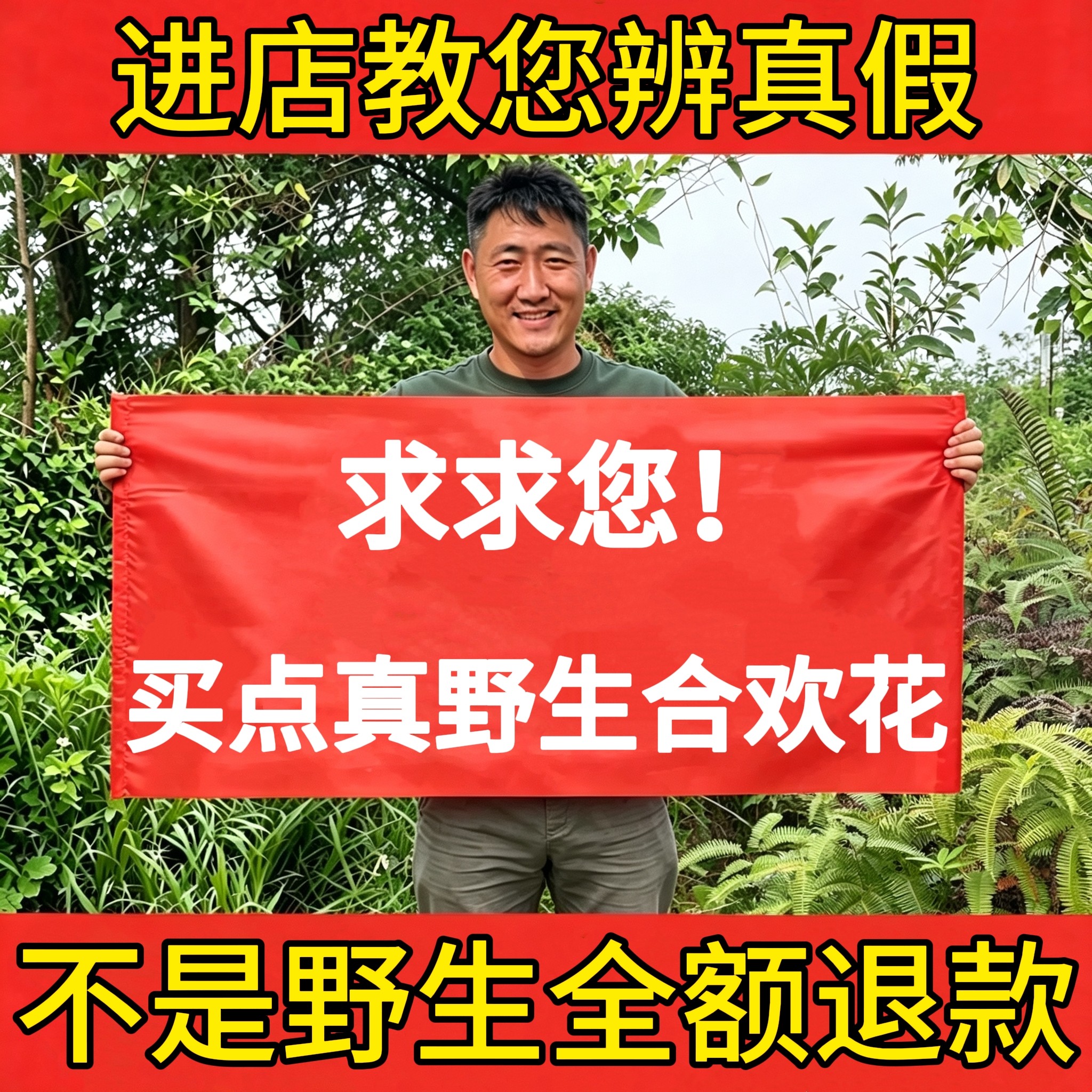 野生合欢花正品绒花瓣干泡茶安神图片