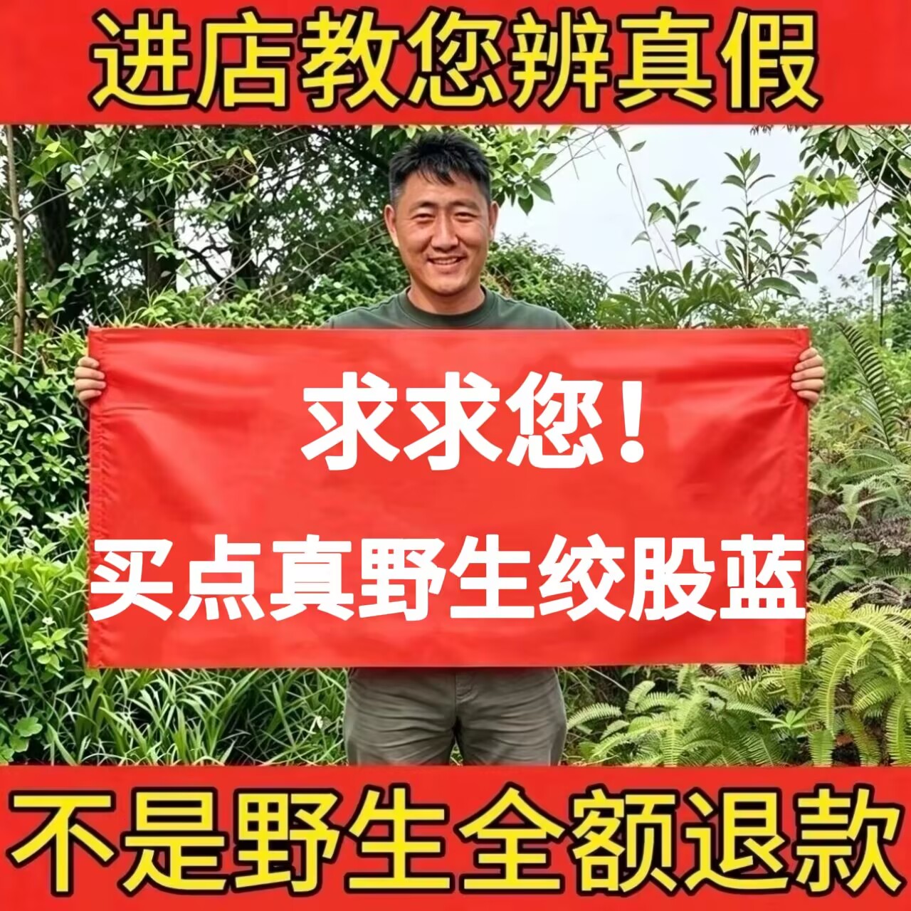 野生绞股蓝正品中药材龙须嫩叶嫩芽新货无硫七叶绞股蓝绞股兰泡水