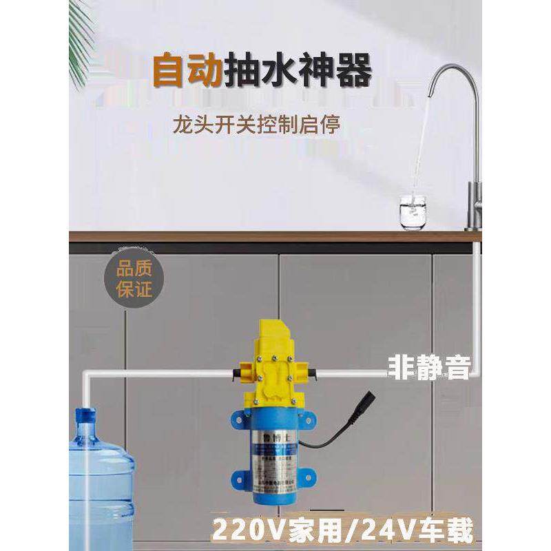 柜台下瓶装水泵电动水泵餐车房车饮用水非静音吸水泵厨房水龙头