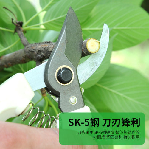 源头厂家130果枝 修枝剪130特氟龙头园艺修剪桑剪园林工具