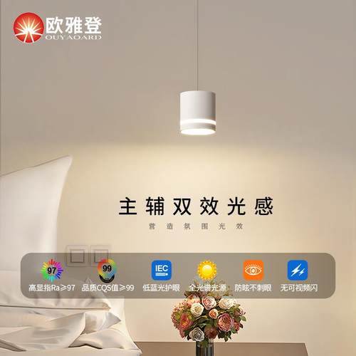 全光谱可升降小吊灯极简现代简约玄关卧室床头护眼2025新款吊线灯