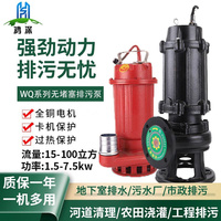 污水排水泵家用220V380V小型抽粪机抽粪泵排污潜水泵抽水机泥浆泵