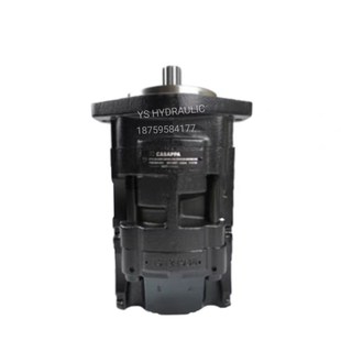 A8K9 LMD KSL 30.24液压泵 凯斯帕CASAPPA齿轮泵KP30.34