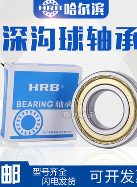 哈尔滨轴承6403 6404 6405 6406 6407 6408 6409 6410Z 2Z 2RS RZ