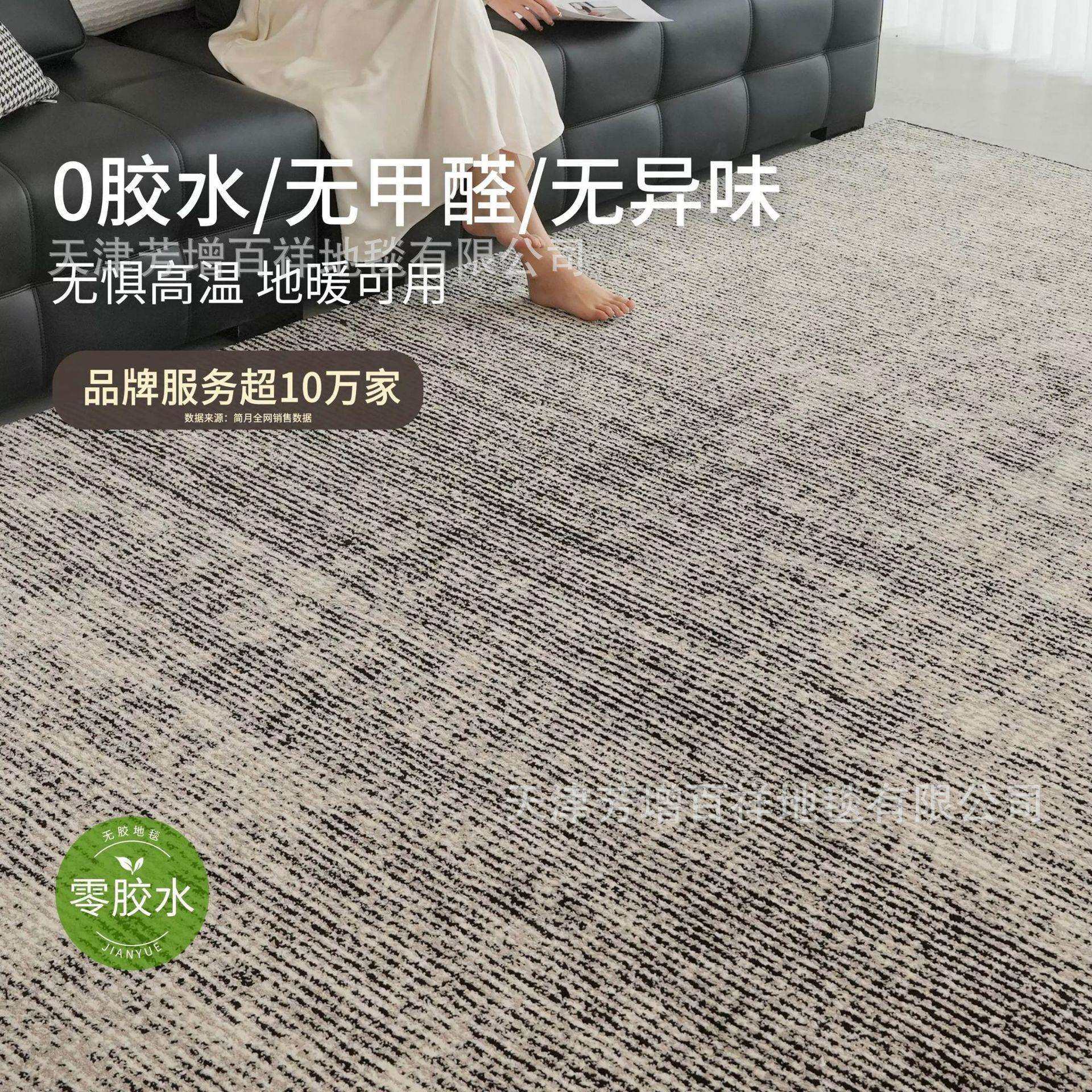 无胶防水客厅地毯高级感黑白灰现代极简意式轻奢沙发卧室免洗防污,橡塑材料及制品,亚克力管/有机玻璃管,淘宝优惠券,粉丝福利购,淘宝优惠卷