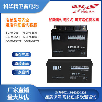 6-GFM-24YT 12V65 38 65 100 150AH蓄电池EPS铅酸UPS电源