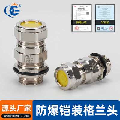 铠装防爆双密封接头填料函船用双压盖BDM20G1/2四分NPT黄铜隔爆