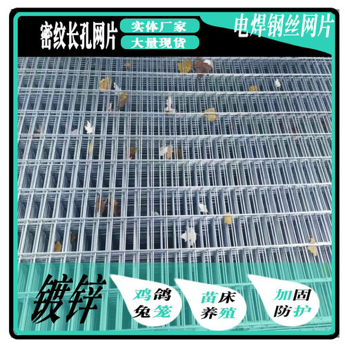 养殖镀锌网片长孔密纹电焊钢丝网片鸡鸽笼舍铁丝网片狗笼金属网片