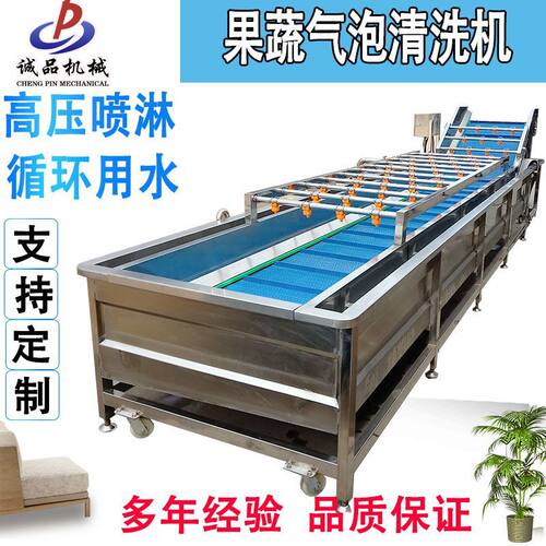 商用果蔬气泡清洗机萝卜大枣洗果机韭菜白菜食品包装袋清洗流水线