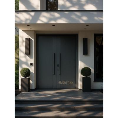 锌合金房屋门双门农村自建房屋入口门入口防盗门家用铸铝卡门