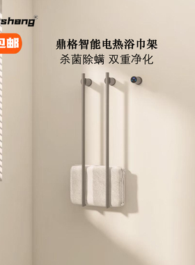 Dinge鼎格全铜智能电加热毛巾架卫生间暗装预埋式浴巾浴袍烘干架
