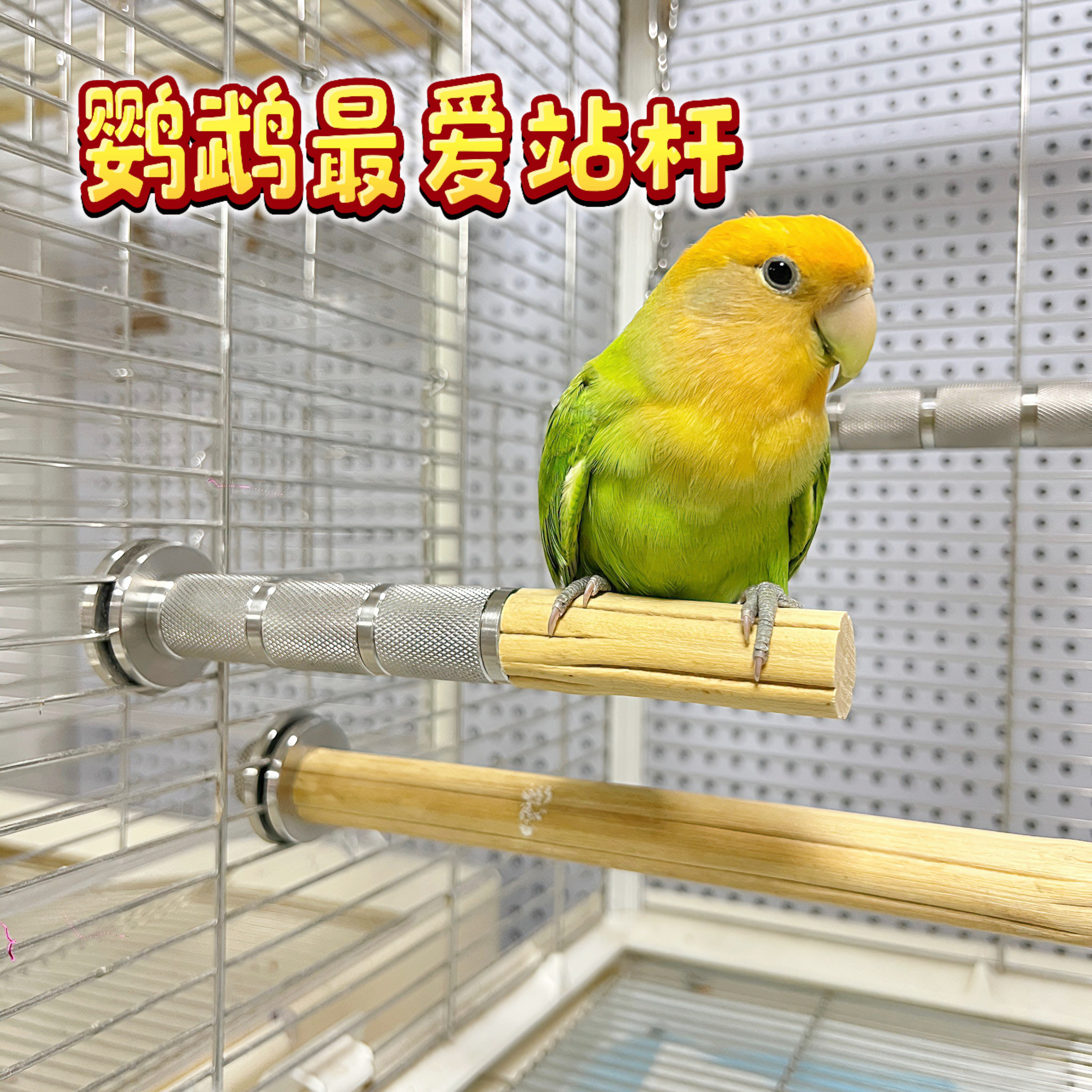 鹦鹉不锈钢站杆站棍站架磨嘴磨脚