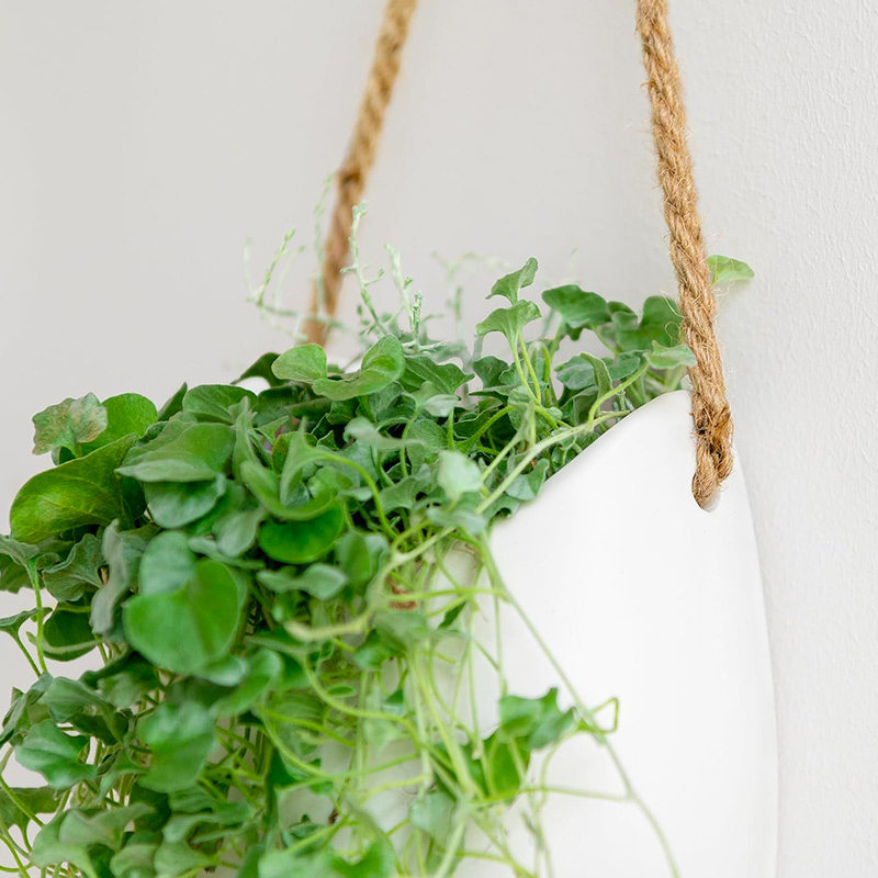 新挂式花盆水培绿植陶瓷花器吊盆无孔吊篮M阳台吊兰垂吊壁挂花瓶,家居饰品,花盆,淘宝优惠券,粉丝福利购,淘宝优惠卷