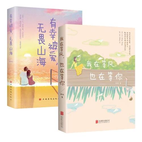 我在等风也在等你 雨彤 著 青春都市言情小说文学经典小说类书籍