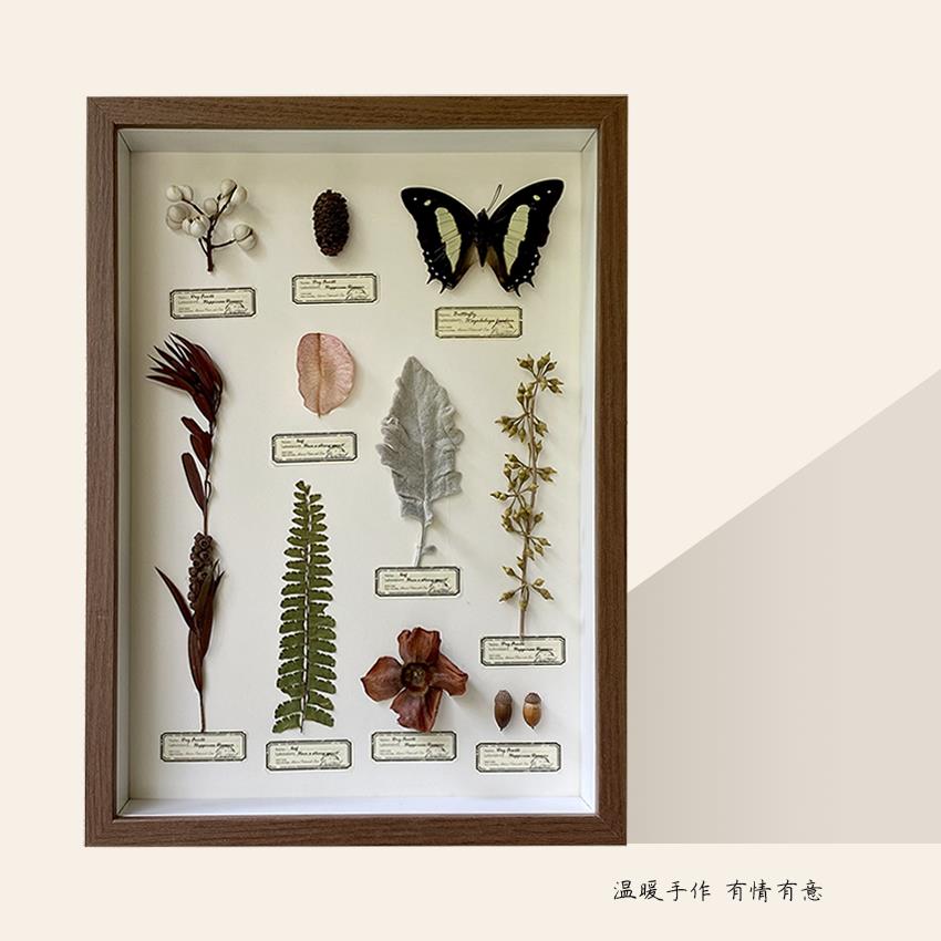 特价真蝴蝶植物标本装饰画圣诞礼物侘寂ins文艺风客厅卧室摆挂件