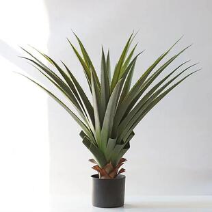仿真植物龙舌兰剑兰盆栽室内客厅摆件落地大型绿植服装店装饰假树