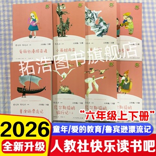 人民教育出版快乐读书吧六年级上下册爱丽丝漫游奇境小英雄雨来童年爱的教育鲁滨逊漂流记尼尔斯骑鹅旅行记上中下六年级语文阅读册