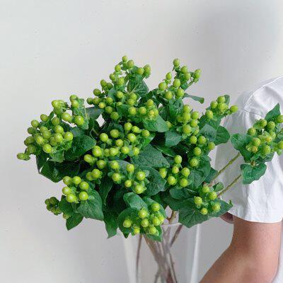 夏日专属清凉花材绿色火龙珠鲜切花插花相思豆水养花束花艺云南直