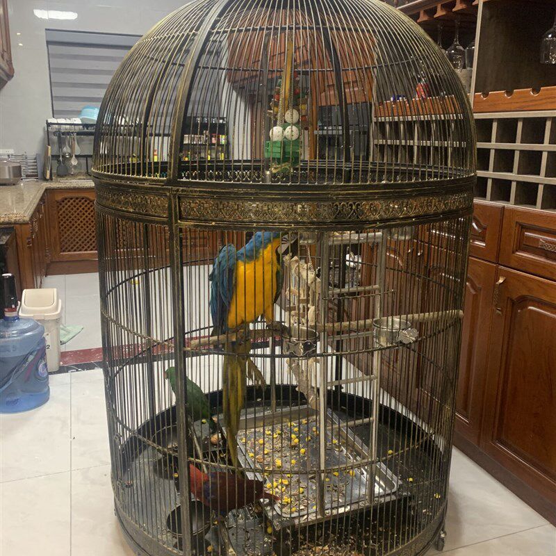 牡丹鹦鹉玄凤文鸟八哥鹩哥虎皮别墅包邮大号圆形金属缩挂架鸟笼
