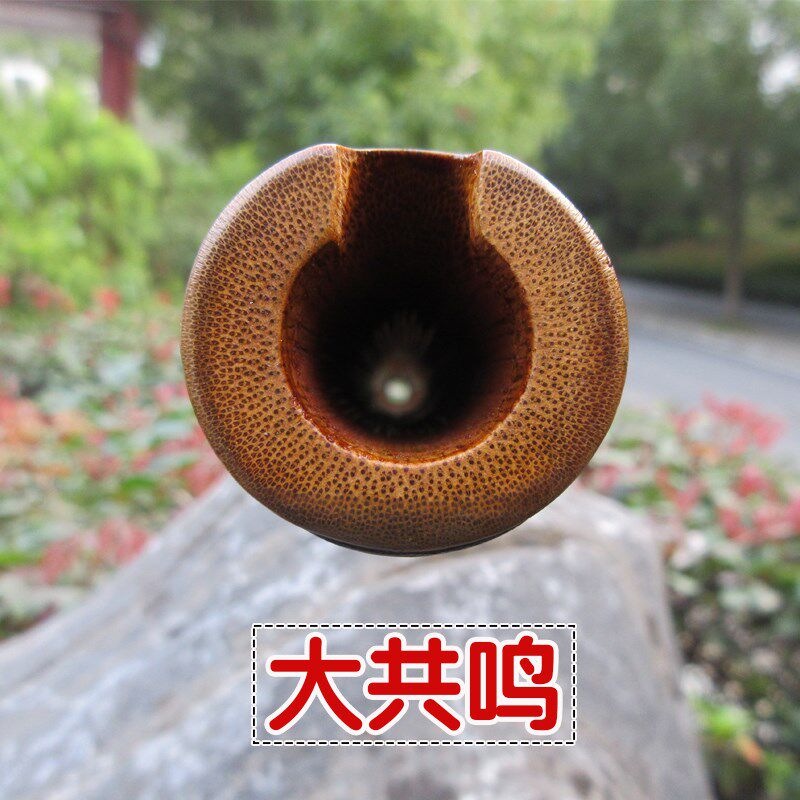 竹萧乐器大头南箫长萧六孔洞箫乐器六孔箫玉竹箫乐器萧乐器初学者