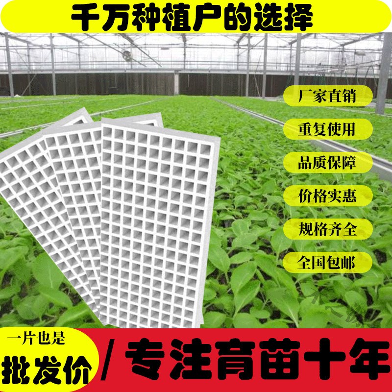 泡沫漂浮育苗漂盘水上漂浮托 托盘加厚辣椒拷火因玉米瓜果蔬菜用