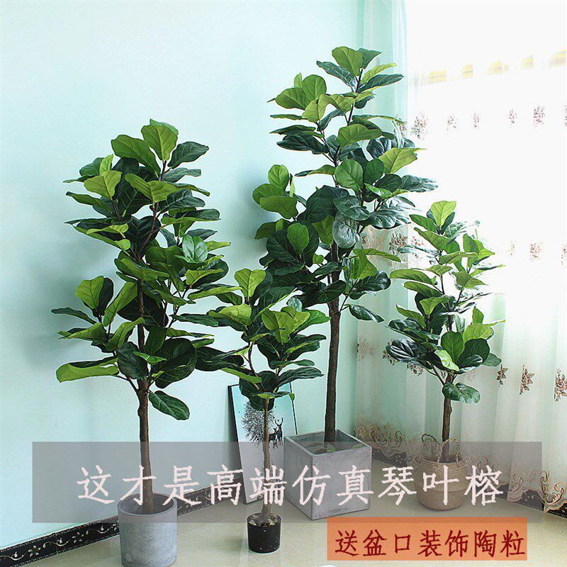 仿真植物琴叶榕绿植高端北欧软装落地花艺美陈装饰茶室客厅中式款