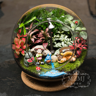 生态瓶苔藓微景观桌面绿植盆栽生态生日耶诞礼物养眼治愈苔藓绿植