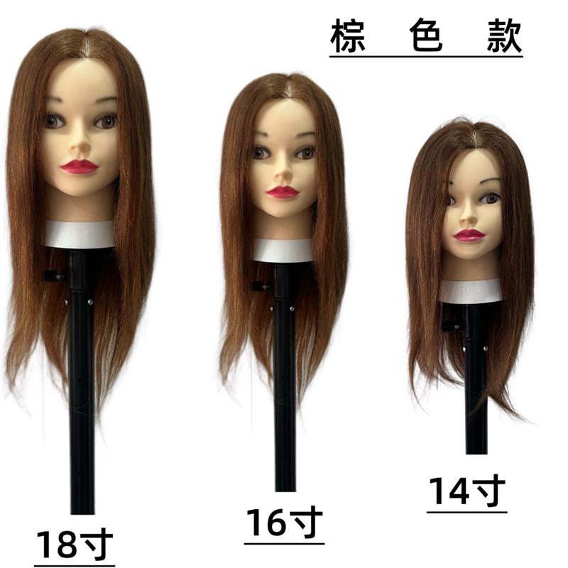 全真发模特头美发店技师助理发型师练习剪烫染漂