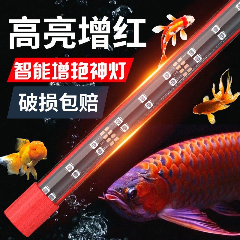 智能高亮2026新款鱼缸灯led防水 七彩变色增艳红龙增色照明专用灯