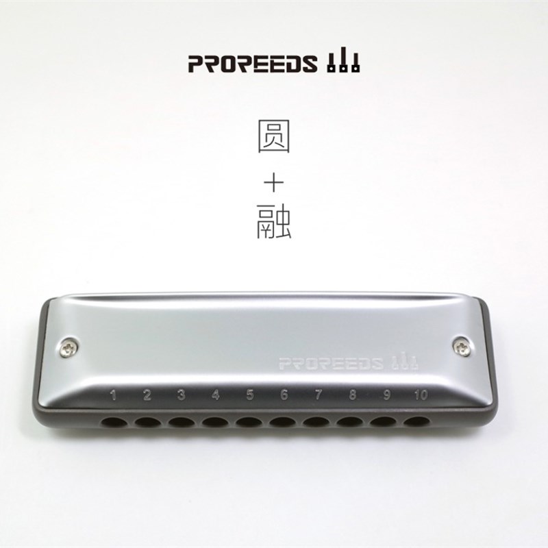 初学者十孔口琴蓝网VIP1款 ProReeds便携布鲁斯口琴 园园同款
