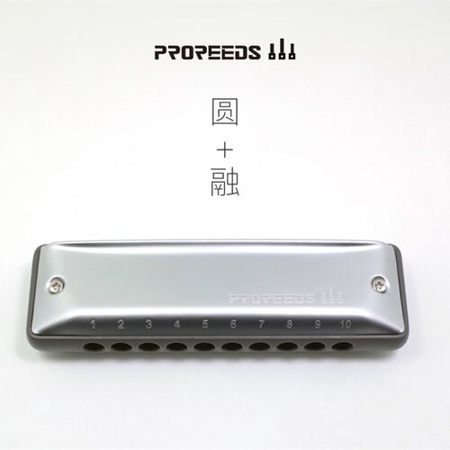 初学者十孔口琴蓝网VIP1款 ProReeds便携布鲁斯口琴 园园同款