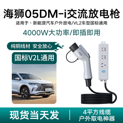 海狮05DMi新能源汽车放电枪