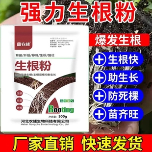 强力快速生根粉植物生根壮苗剂树木移栽扦插专用生根粉500g正品