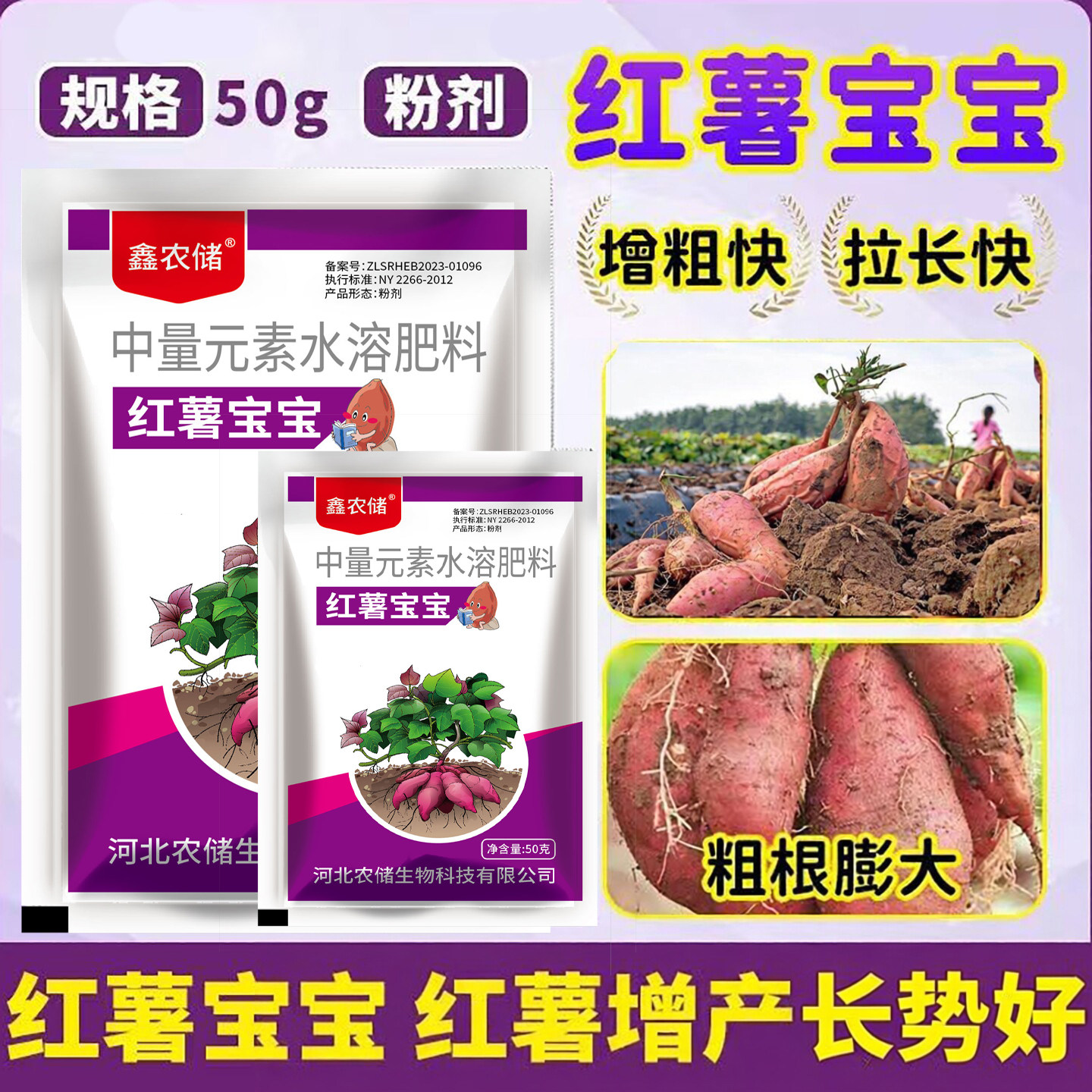 红薯宝宝适用正品叶面肥预防裂果畸形果拉长中微量元素水溶肥 - 实物图