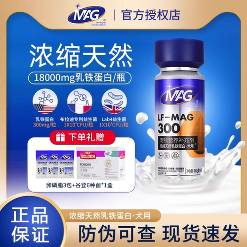 狗狗少生病 家长不担心