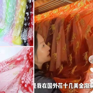 雪瑞姑姑同款纱笠盖衣服沙笠衣柜防尘纱笠孔雀网纱布料纱装饰纱衣