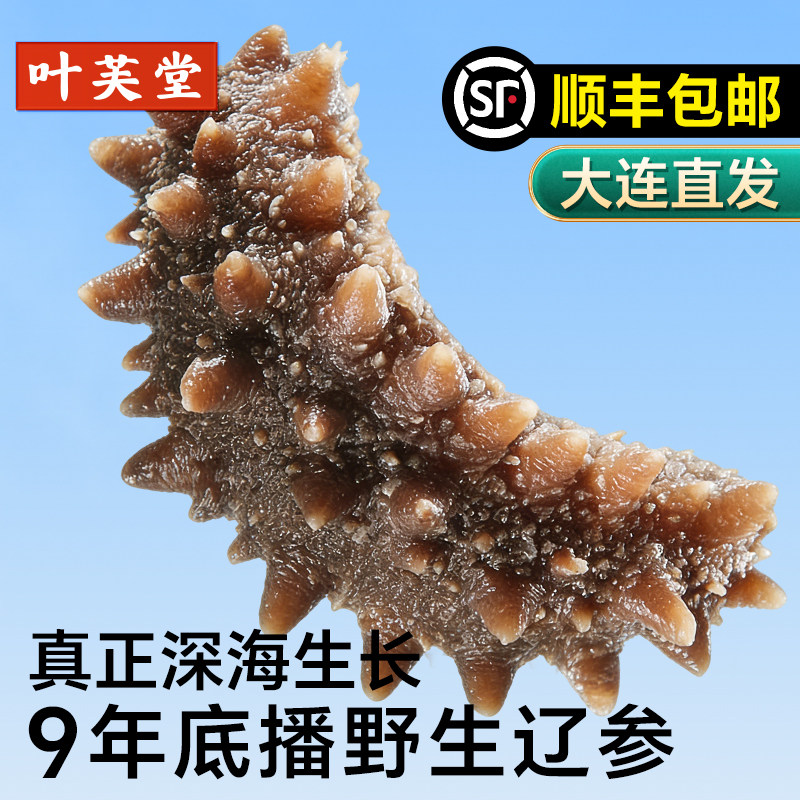 大连野生即食海参辽刺参海鲜礼盒