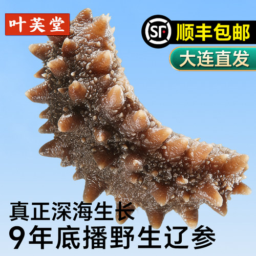 大连野生即食海参辽刺参海鲜礼盒