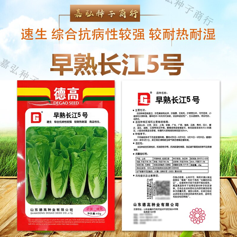 德高早熟长江5号白菜种子速生综合抗病性强耐热耐湿蔬菜种子